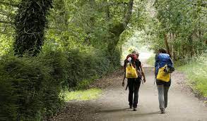 Correos colabora con Camino Francés Federación para promover el Camino de largo recorrido