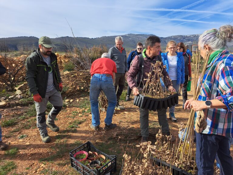 El monte de Boisán quemado en el incendio del campo de tiro de 2023 renace con las plantaciones de la Asociación Teleno Libre