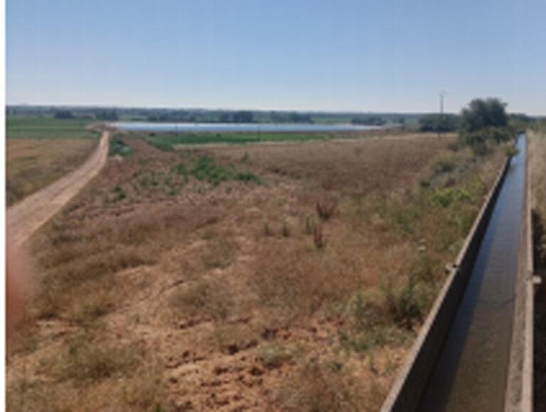 Nuevas balsas de riego que salpican el paisaje del campo