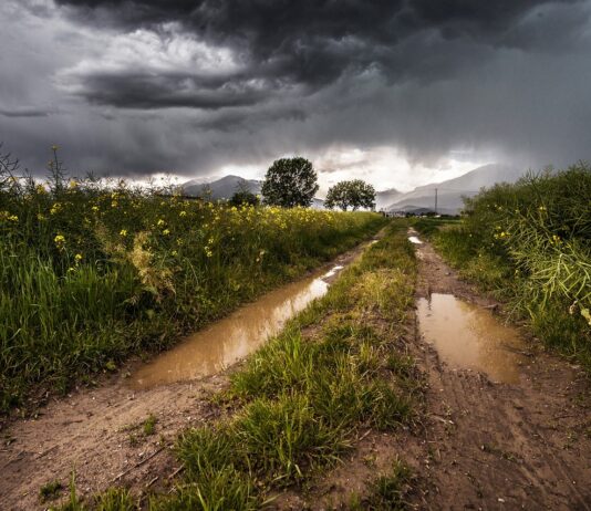 ASAJA pide a los ayuntamientos que protejan los caminos rurales