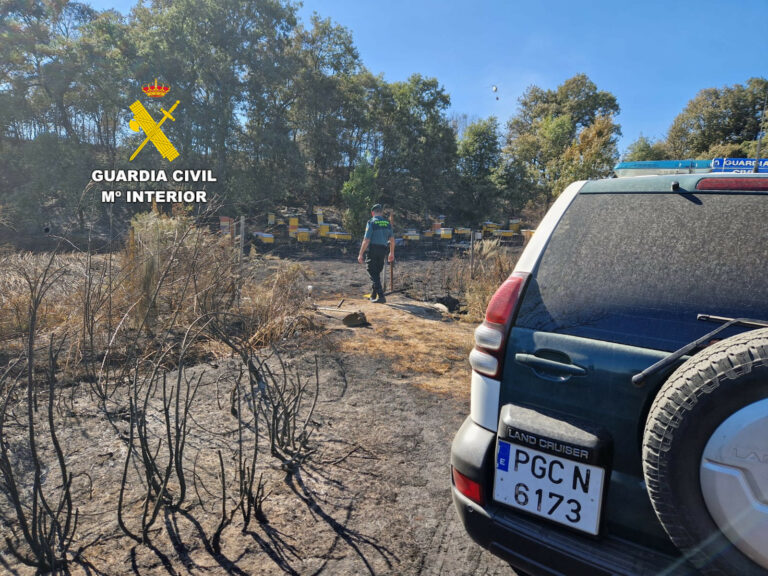 Investigado un apicultor como presunto autor del incendio forestal de Brañuelas