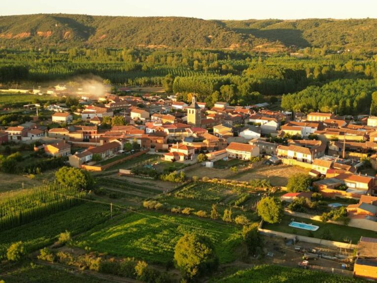 La Junta instalará en Llamas de la Ribera el tercer Centro Logístico Comarcal de biomasa forestal en la provincia de León con una inversión superior a 650.000 euros