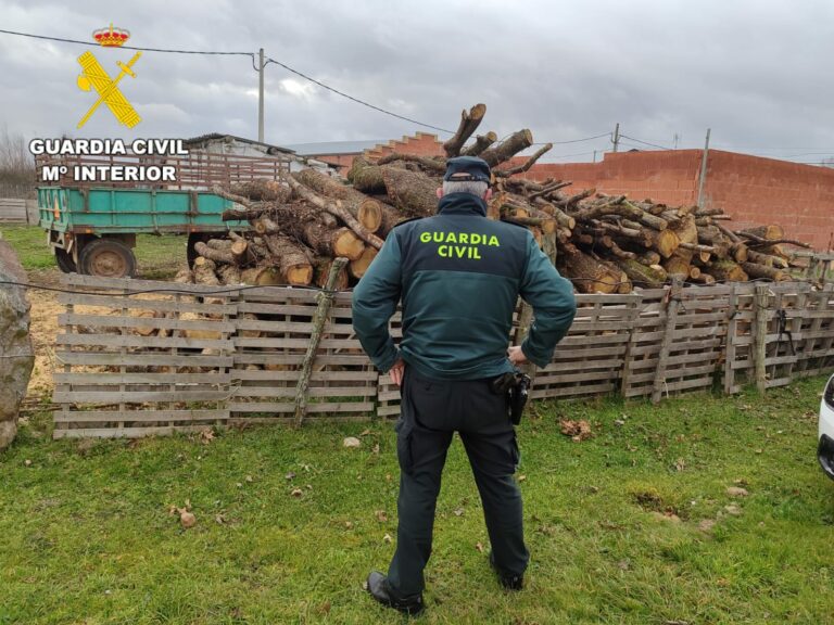 Un detenido por el robo de material agrícola y hurto de leña dispuesta para la venta en el Órbigo