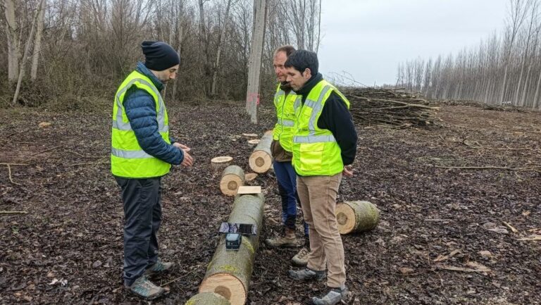 Investigadores de la ULE mapean la calidad de la madera en tiempo real utilizando tecnología no destructiva y gemelos digitales